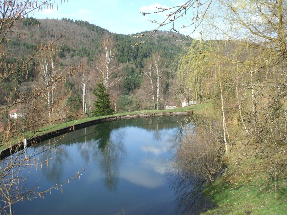 Chalet Independant Avec Jacuzzi Privatif Villa Dommartin-lès-Remiremont Esterno foto